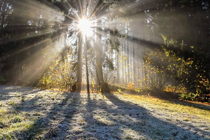 The Divine Alignment Sanctuary: Quarterly VIP Spiritual Mentorship Subscription